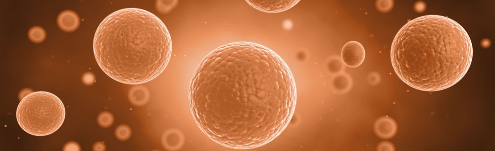 stemcelltreatments